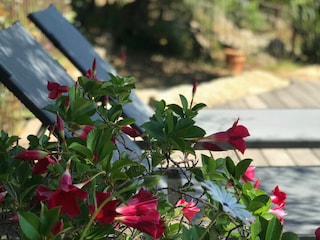 Villa Monticello Ambiente 25