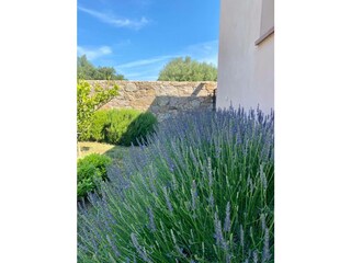 Villa Monticello Registrazione all'aperto 8