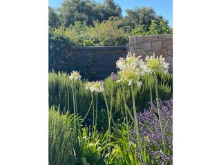 Villa Monticello Registrazione all'aperto 10