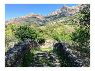 Villa Monticello Ambiente 26