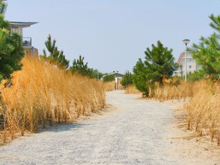 Appartamento per vacanze Callantsoog Ambiente 24