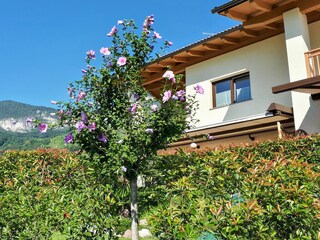 Appartamento per vacanze Kurtatsch Registrazione all'aperto 11