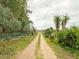 Casa de vacaciones Oristano (Stadt) Entorno 29