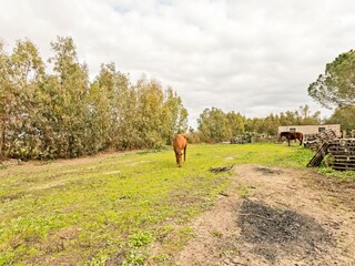 Vakantiehuis Oristano (Stadt) Omgeving 28