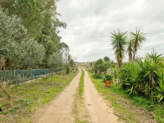 Holiday house Oristano (Stadt) Environment 29