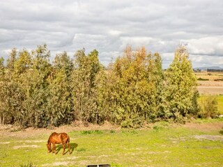 Holiday house Oristano (Stadt) Environment 32