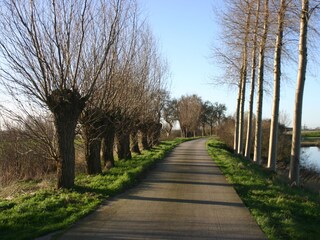 Appartamento Cadzand-Bad Ambiente 14