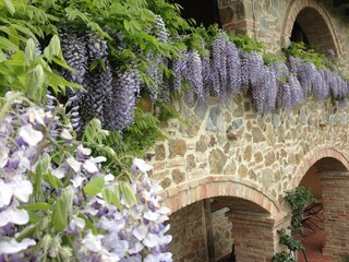Vakantiehuis Arezzo Buitenaudio-opname 10