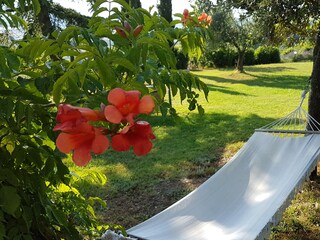 Casa per le vacanze Arezzo Registrazione all'aperto 12