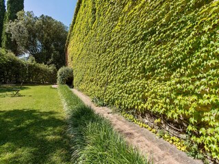 Type de propriété : Chalet Umbertide Enregistrement extérieur 15