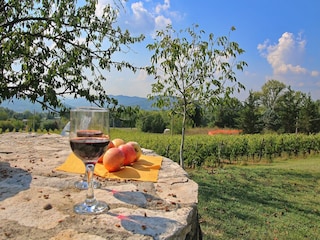 Type de propriété : Chalet Umbertide  39