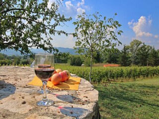 Vakantiehuisje Umbertide  39