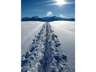Spuren ziehen in den Stubaier Alpen