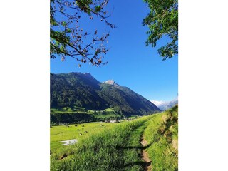 Apartment Neustift im Stubaital Environment 31