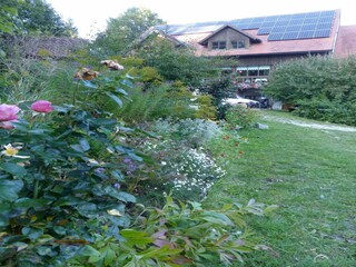 Apartment Schönsee Outdoor Recording 3