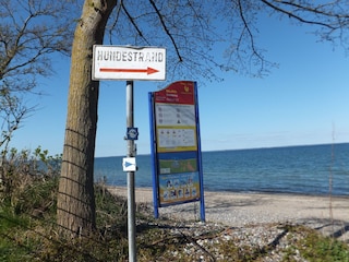 Strandführer