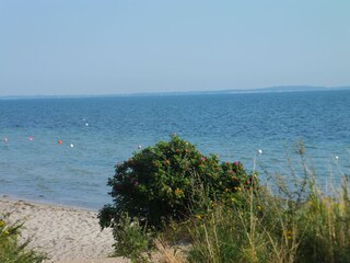 Strand mit Blick auf Dänemark