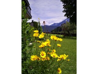 Cottage Abtenau Outdoor Recording 11