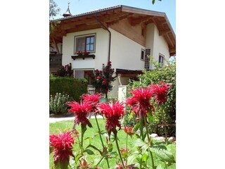 Cottage Abtenau Outdoor Recording 16
