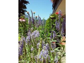 Vakantiehuisje Abtenau Buitenaudio-opname 19