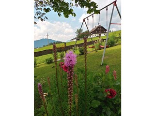 Vakantiehuisje Abtenau Buitenaudio-opname 22