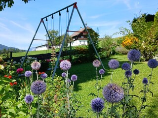 Großzügiger Garten mit gepflegtem Rasen, Sträuchern und