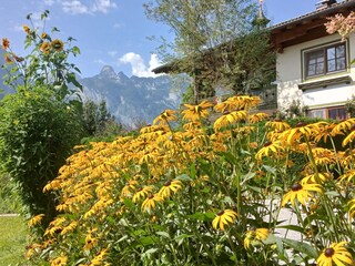 Vakantiehuisje Abtenau Buitenaudio-opname 17