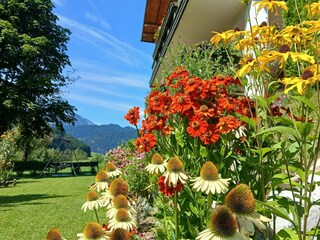 Vakantiehuisje Abtenau Buitenaudio-opname 22