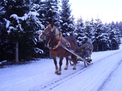 FamilieGsenger Gsenger