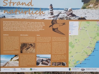 Strand Langholz