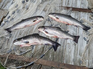 Appartamento Schönsee  38