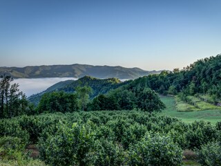 Casa per le vacanze Cortemilia Ambiente 37