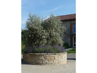 Casa per le vacanze Cortemilia Registrazione all'aperto 5