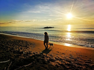 Spaziergang am Meer