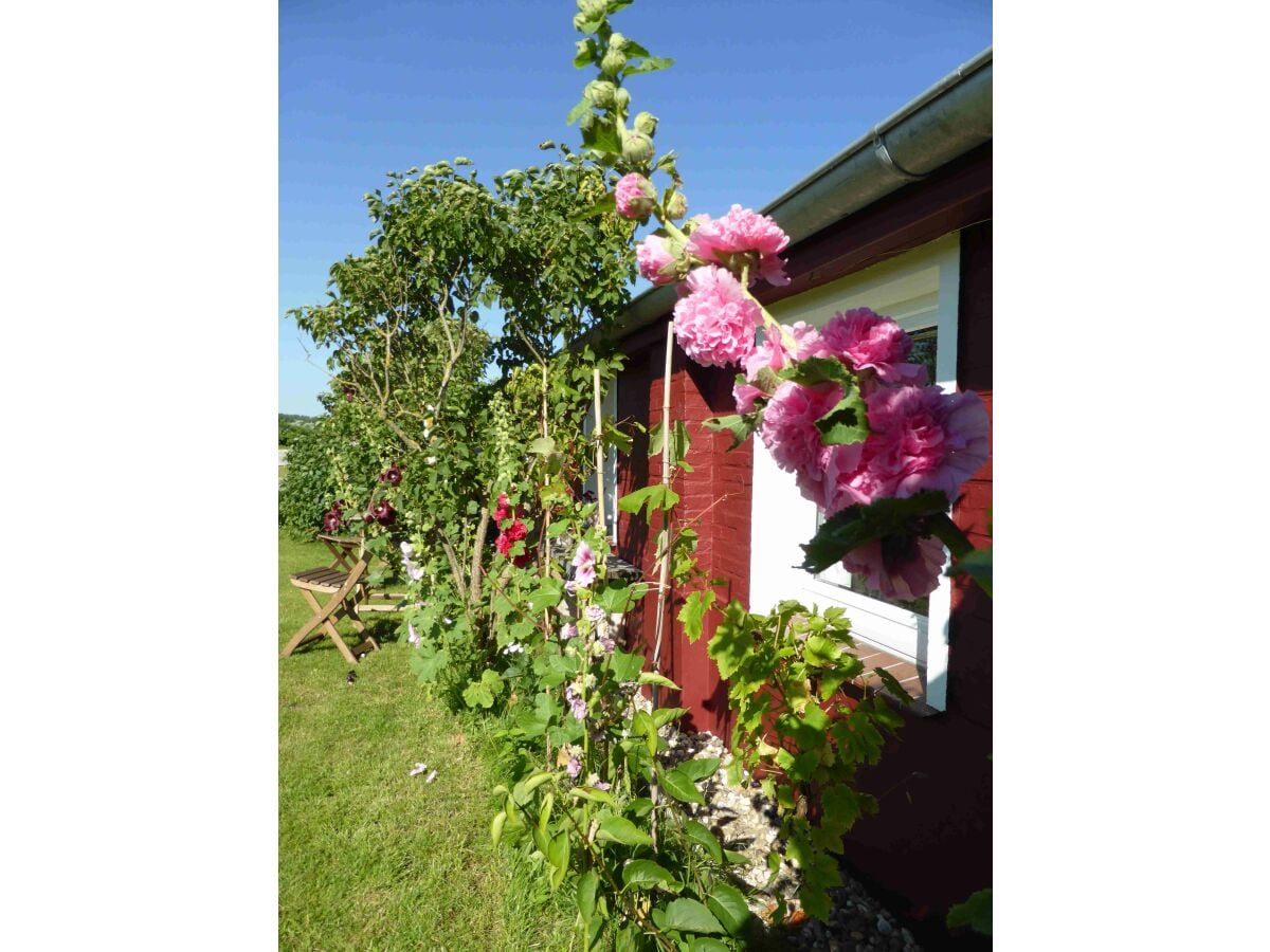 Ferienwohnung Haus am See, Norderney, Familie Meemken