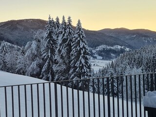 Appartamento per vacanze Patergassen Registrazione all'aperto 11