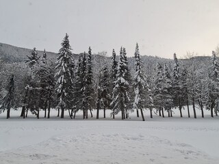 Appartamento per vacanze Patergassen Registrazione all'aperto 12