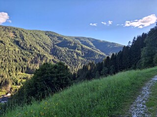 Appartamento per vacanze Patergassen Ambiente 29