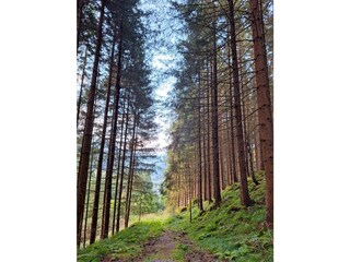 Appartamento per vacanze Patergassen Ambiente 30