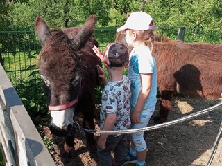 Appartamento per vacanze Hohenthurn Registrazione all'aperto 5