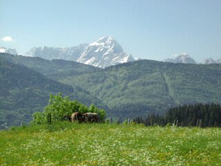 Vakantieappartement Hohenthurn Omgeving 16
