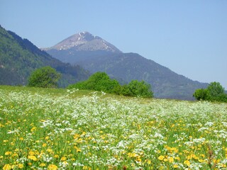 Vakantieappartement Hohenthurn Omgeving 15