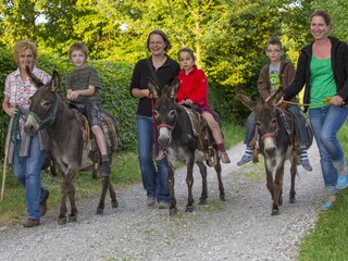 Appartamento per vacanze Hohenthurn Ambiente 12