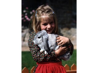 Appartamento per vacanze Hohenthurn Ambiente 14