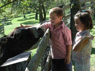 Appartamento per vacanze Hohenthurn Ambiente 20