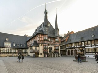 Ferienhaus Darlingerode Umgebung 36