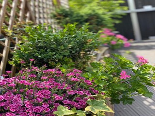 Maison de vacances Darlingerode Enregistrement extérieur 6