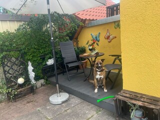 Bungalow Darlingerode Buitenaudio-opname 3