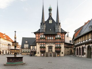 Bungalow Darlingerode Environment 27