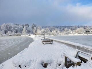 Bungalow Darlingerode Omgeving 31